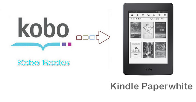 How To Read Kobo Books On Kindle Paperwhite Any Ebook Converter