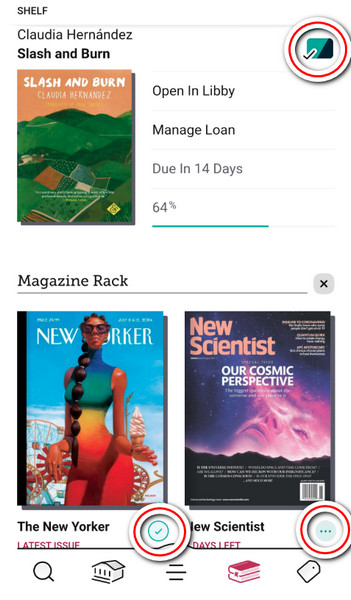 Download books on Libby