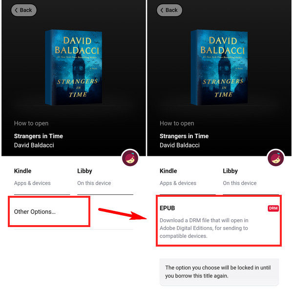 Read Libby Offline with ADE